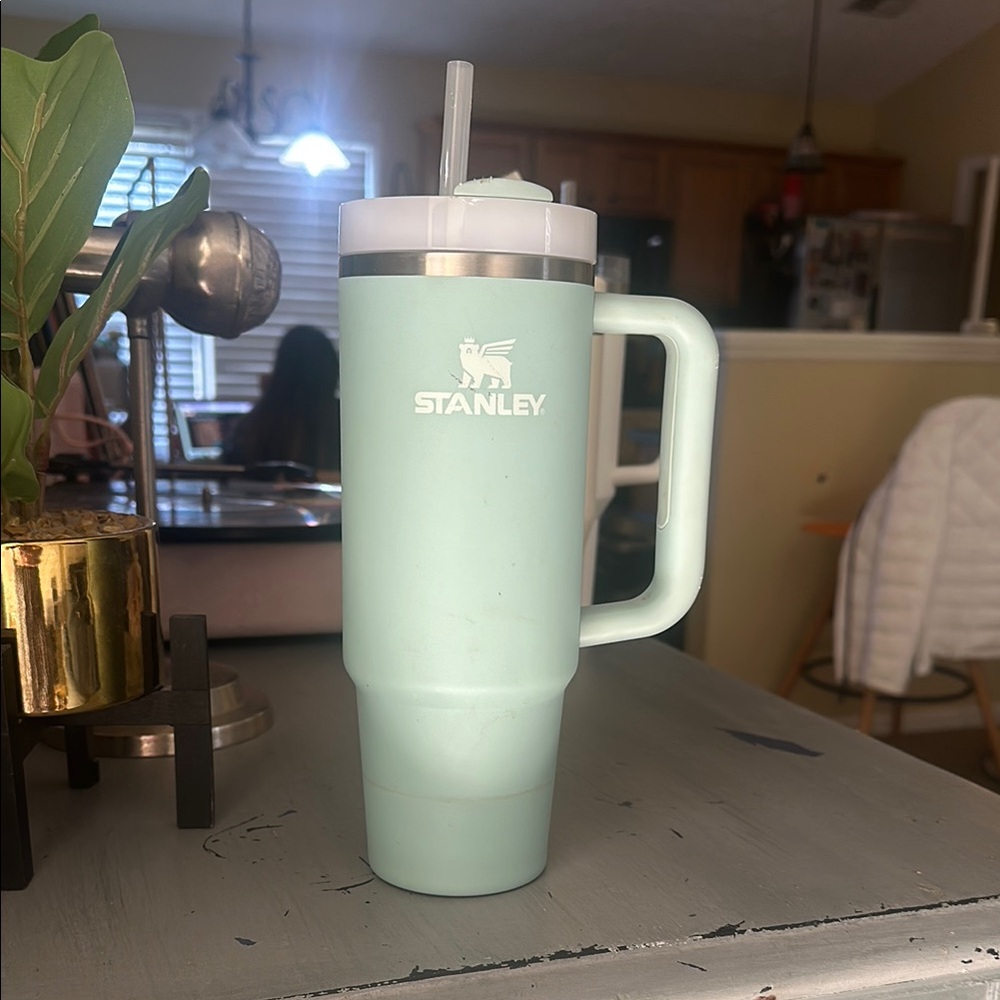 Stanley Green Water Bottle with Large Capacity and Insulated Design